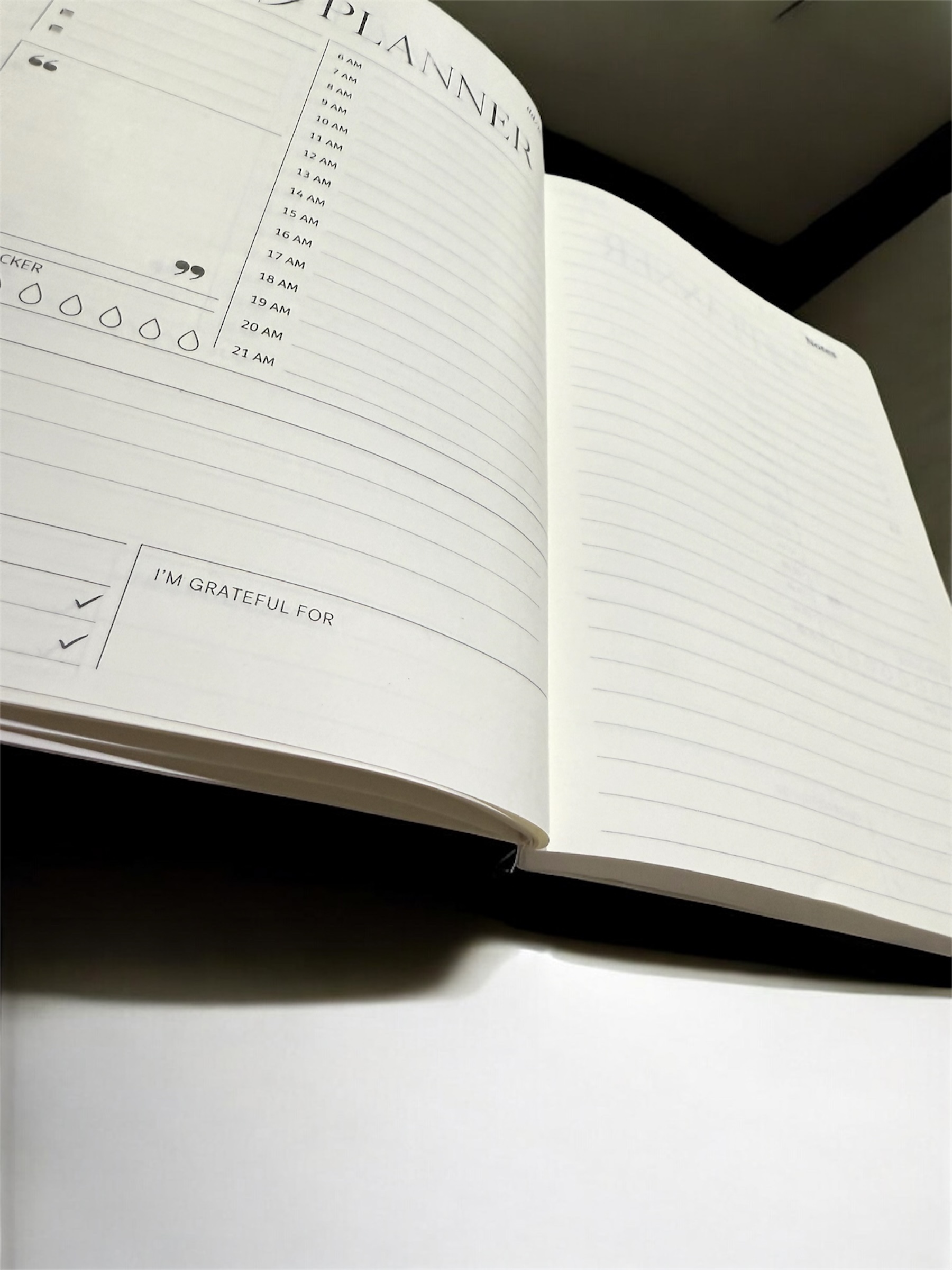 Black Sand Edition (3)