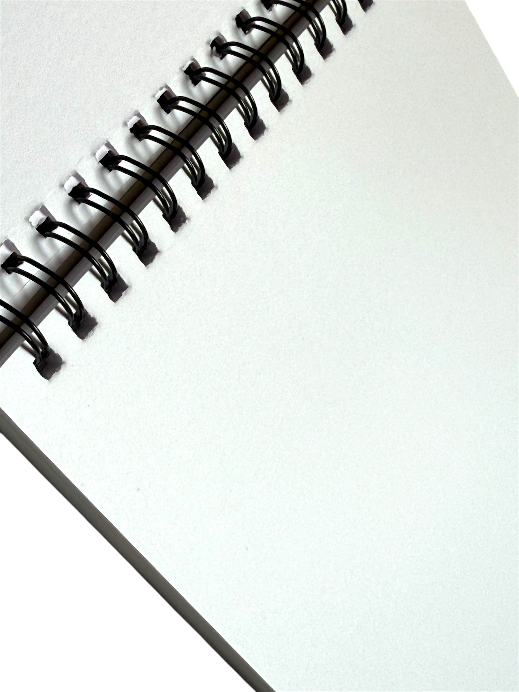 Floral Sketchbook (2)